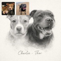Custom Charcoal Pencil Portrait