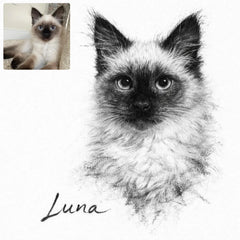 Custom Charcoal Pencil Portrait