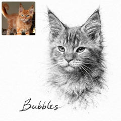 Custom Charcoal Pencil Portrait