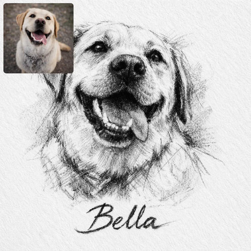 Custom Charcoal Pencil Portrait