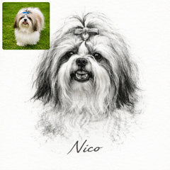 Custom Charcoal Pencil Portrait