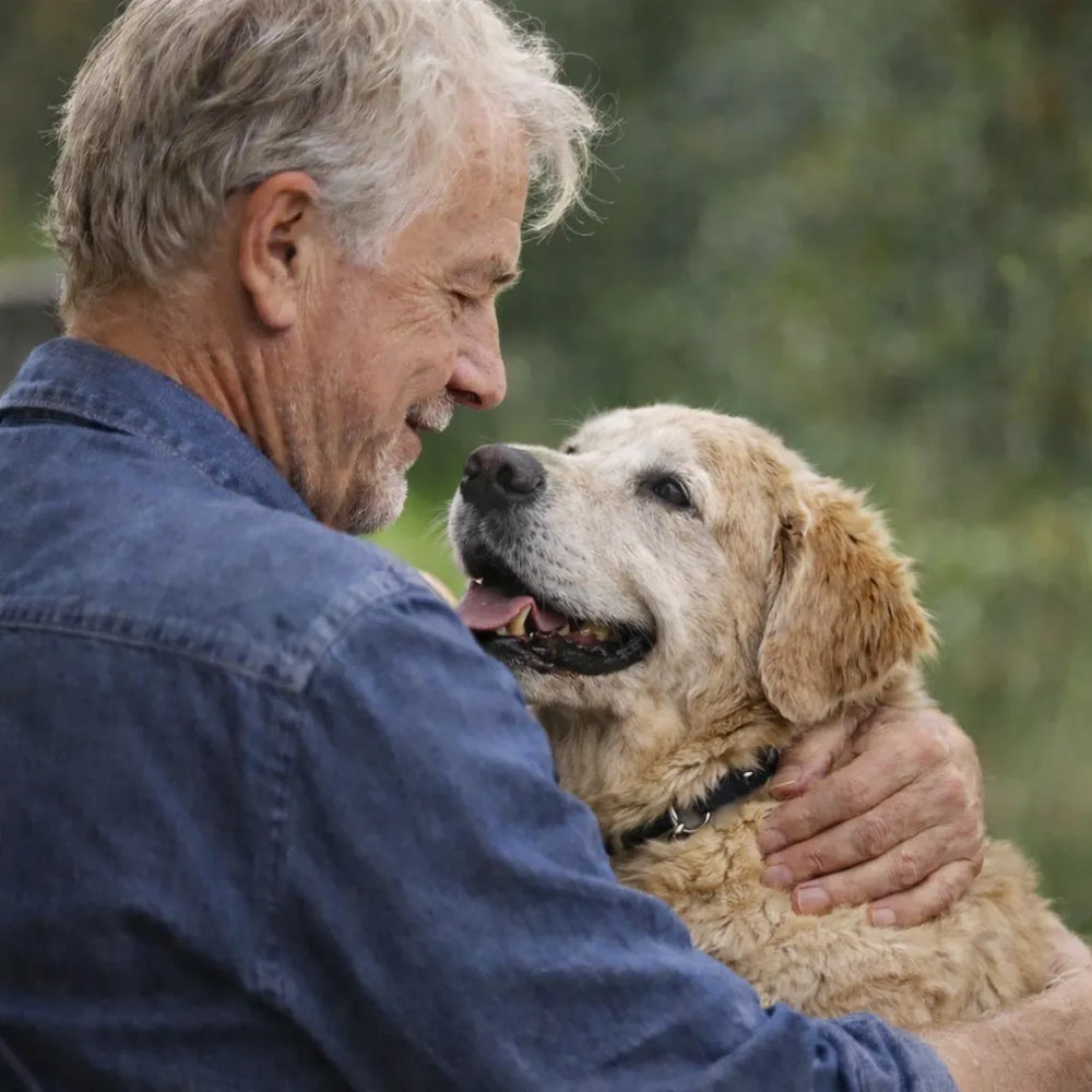 The Story Behind Paw & Portrait